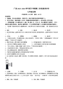 ，广西壮族自治区来宾市武宣县2023-2024学年七年级下学期期中考试生物试题(无答案)