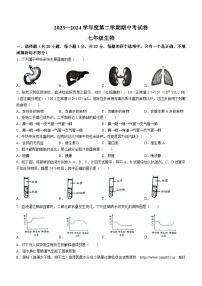 ，河南省商丘市虞城县2023-2024学年七年级下学期4月期中生物试题(无答案)