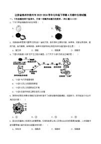 江苏省泰州市泰兴市2023-2024学年七年级下学期4月期中生物试题+