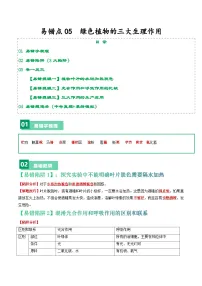 备战2024年中考生物专题-易错点05 绿色植物的三大生理作用-备战2024年中考生物专题(全国通用)-(原卷版+解析版)
