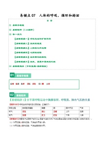 备战2024年中考生物专题-易错点07 人的呼吸、循环和排泄-备战2024年中考生物专题(全国通用)-(原卷版+解析版)