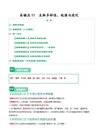 备战2024年中考生物专题-易错点11 生物多样性、起源与进化-备战2024年中考生物专题(全国通用)-(原卷版+解析版)