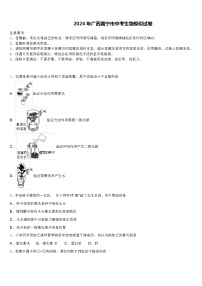 2024 年广西南宁市中考生物模似试卷（解析版）