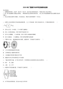 2024 年广西南宁市中考生物模似试卷（解析版）