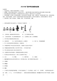 2024 年广西中考生物模似试卷（解析版）