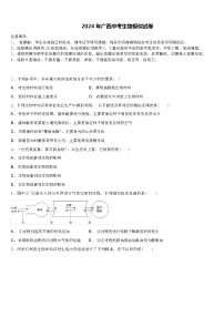 2024 年广西中考生物模似试卷（解析版）