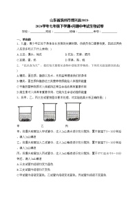 山东省滨州市博兴县2023-2024学年七年级下学期4月期中考试生物试卷(含答案)