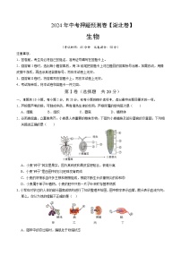 2024年中考押题预测卷（湖北卷）生物（考试版）A4