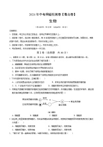 2024年中考押题预测卷（青岛卷）生物（考试版）A4