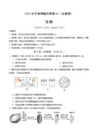 2024年中考押题预测卷01（安徽卷）生物（考试版A4）