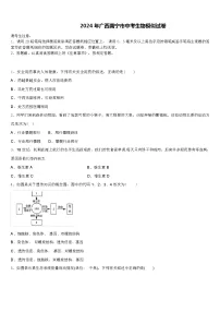 2024 年广西南宁市中考生物模似试卷（解析版）