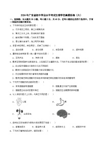 2024年广东省初中学业水平考试生物学仿真模拟卷（六）