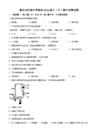 重庆市长寿中学校2023-2024学年八年级下学期期中生物试题（原卷版+解析版）