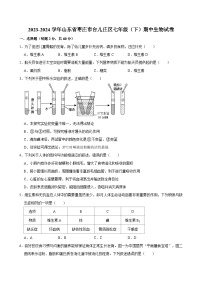 2023-2024学年山东省枣庄市台儿庄区七年级（下）期中生物试卷