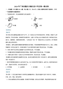 11，2024年广东省肇庆市德庆县中考一模生物试题