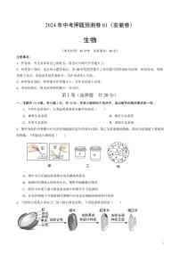 2024年中考押题预测卷01（安徽卷）生物（考试版）