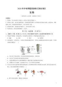 2024年中考押题预测卷（湖北卷）生物（考试版）