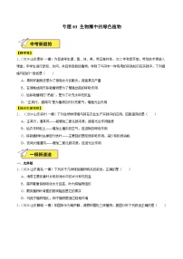 2024年山东省中考生物一模试题分类汇编-专题03 生物圈中的绿色植物（原卷版+解析版）