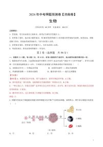 2024年中考押题预测卷（济南卷）生物（解析版）