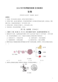2024年中考押题预测卷（济南卷）生物（考试版）