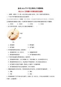 热点04 生物圈中有哪些绿色植物-备战2024年中考生物热点专题精练