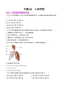 2024年中考生物真题分项汇编（全国通用）-专题08  人体呼吸-学易金卷： （第1期）（原卷版+解析版）