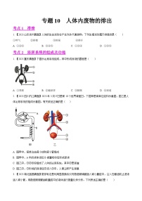 2024年中考生物真题分项汇编（全国通用）-专题10  人体内废物的排出-学易金卷：（第1期）（原卷版+解析版）