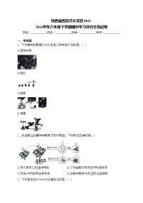 陕西省西安市长安区2023-2024学年八年级下学期期中学习评价生物试卷(含答案)