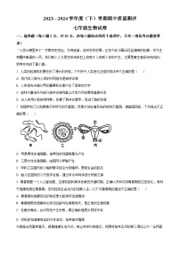 湖北省孝感市汉川市2023-2024学年七年级下学期期中生物试题（原卷版+解析版）