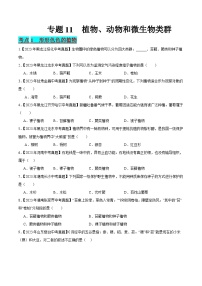 2024年中考生物真题分项汇编（全国通用）-专题11 植物、动物和微生物类群（原卷版+解析版）