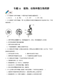 2024年中考生物真题分项汇编（全国通用）-专题11 植物、动物和微生物类群（原卷版+解析版）