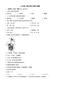 四川省泸州市江阳区2023-2024学年七年级下学期期中生物试题（原卷版+解析版）