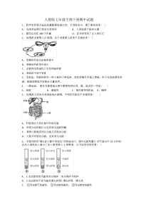 人教版七年级生物下册期中试题（解析版）