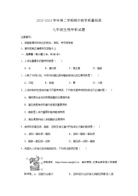 22，山东省宁津县大庄中学2023-2024学年七年级下学期期中生物试题