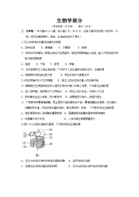 26，广西部分市县区联考2023-2024学年七年级下学期期中考试生物试题