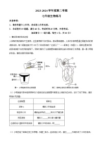 辽宁省大连市瓦房店市2023-2024学年七年级下学期期中生物试题（原卷版+解析版）