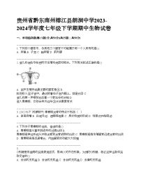 贵州省黔东南州榕江县朗洞中学2023-2024学年度七年级下学期期中生物试卷