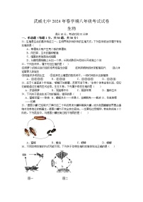 甘肃省武威市第七中学2023--2024学年下学期八年级期中考试生物试题