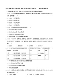 河北省石家庄市栾城区2023-2024学年七年级下学期期中生物试卷