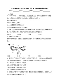 山西省大同市2023-2024学年七年级下学期期中生物试卷(含答案)