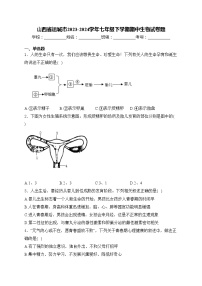 山西省运城市2023-2024学年七年级下学期期中生物试卷题(含答案)