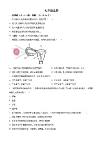 河南省郑州市郑东新区外国语学校2023-2024学年七年级下学期期中生物试题（原卷版+解析版）