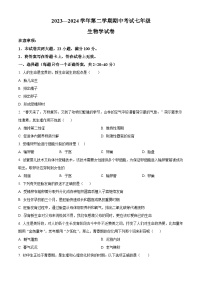 河南省洛阳市嵩县2023-2024学年七年级下学期期中生物试题（原卷版+解析版）