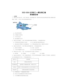 2022～2024北京初二一模生物试题分类汇编：单细胞生物