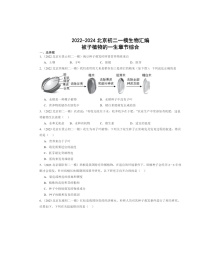 2022～2024北京初二一模生物试题分类汇编：被子植物的一生章节综合