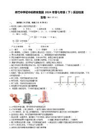 四川省绵竹中学教育集团2023-2024学年七年级下学期第二次月考生物试题