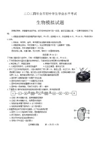 2024年山东省聊城市文轩教育集团等中考模拟生物试题