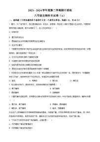 广东省揭阳市榕城区2023-2024学年八年级下学期期中生物试题（原卷版+解析版）