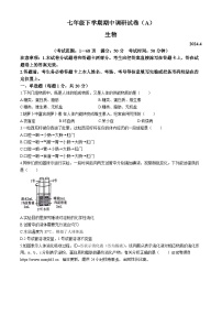 河南省安阳市2023-2024学年七年级下学期4月期中生物试题