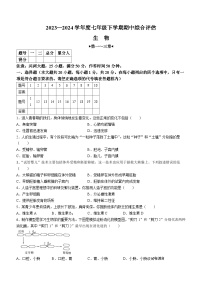 河南省郑州市新郑市2023-2024学年七年级下学期4月期中生物试题(无答案)